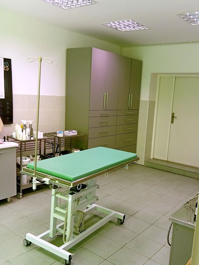 Sala zabiegowa gabinetu weterynaryjnego w Sitnie ze stołem zabiegowym